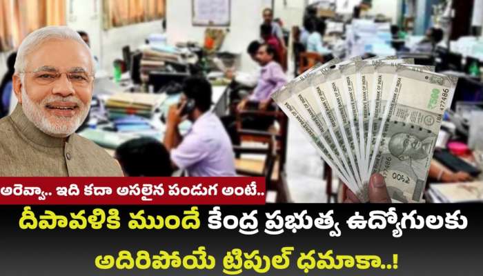 Festival Bonanza: అరెవ్వా.. ఇది కదా అసలైన పండుగ అంటే.. దీపావళికి ముందే కేంద్ర ప్రభుత్వ ఉద్యోగులకు అదిరిపోయే ట్రిపుల్ ధమాకా..!