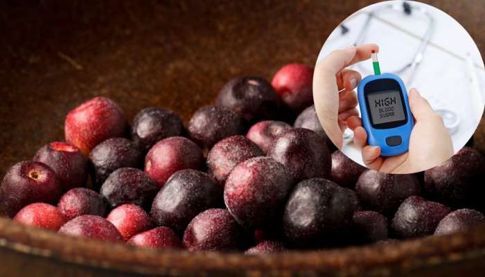 Falsa Fruit Benefits: ఈ పండు తింటే 30 రోజుల్లో షుగర్ కంట్రోల్ అవుతుంది..ఎందుకంటే?