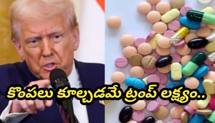 Trump Tariffs: భారత మార్కెట్ల కొంపముంచిన ట్రంప్ ప్రకటన.. ఈ 5 ఫార్మా కంపెనీల షేర్లు ఢమాల్..!!