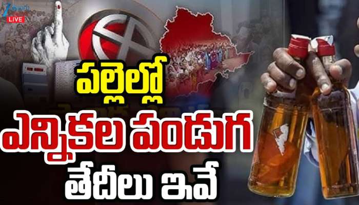 Telangana Local Body Elections: తెలంగాణలో మోగిన పంచాయితీ  ఎన్నికల  నగారా..