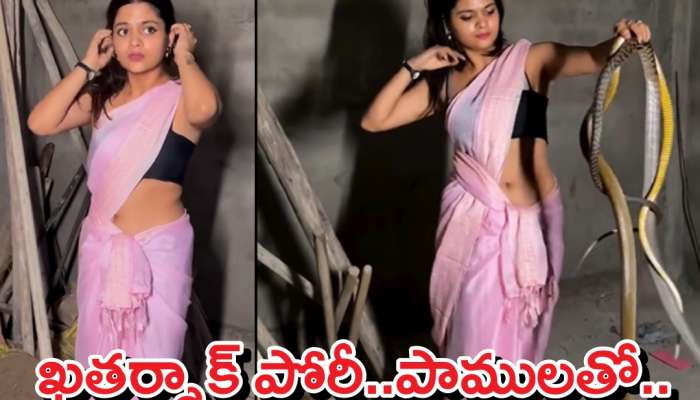 Snake Catcher: పింక్ శారీ కట్టి పాములతో ఆటాడిన పోరీ..ఆమె అందం చూసి పాములే షాక్ అయ్యాయి!