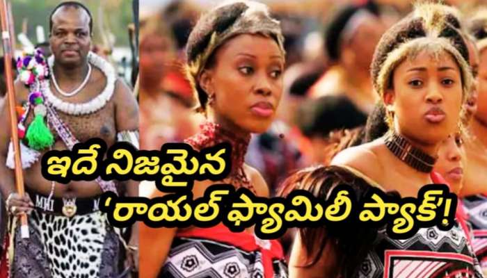 Eswatini King: 15 మంది భార్యలు, 30 మంది పిల్లలు, 100 మంది సేవకులు.. అబుదాబి ఎయిర్‌పోర్టుకు విచ్చేసిన రసిక రాజుగారు.. వీడియో వైరల్..!! 