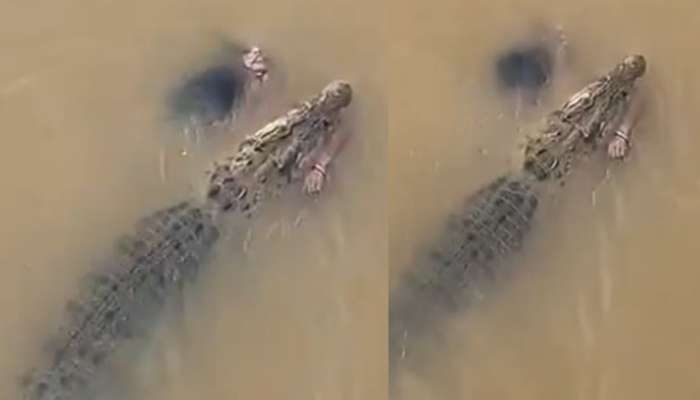 Crocodile Drags Woman Video:  వామ్మో.. మహిళను నీళ్లలోకి లాక్కెళ్తున్న భారీ మొసలి.. ఓళ్లు గగుర్పొడిచే వీడియో..
