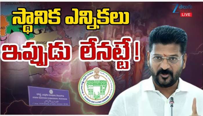Telangana Elections: తెలంగాణలో లోకల్ బాడీ ఎన్నికలకు బ్రేక్‌.. అధికార పార్టీకి తలనొప్పిగా మారిన హైకోర్టు తీర్పు