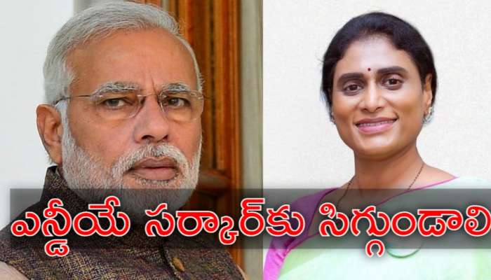 YS Sharmila: మోదీ చెప్పేవన్నీ బూటకం.. మోదీ ఏపీ టూర్‌పై వైఎస్‌ షర్మిల సంచలన వ్యాఖ్యలు
