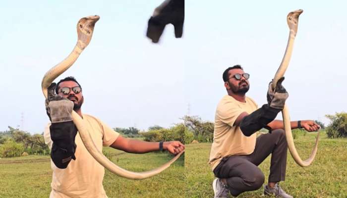 Snake Video: వామ్మో.. ఏంగుండెరా వాడిదీ.. పడగ విప్పిన కోడెనాగుతో డెంజర్ స్టంట్‌లు.. ఓళ్లు గగుర్పొడిచే వీడియో..