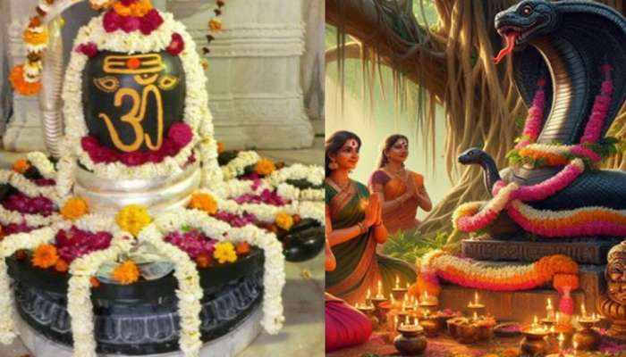 Karthika Masam 2025: రేపు శక్తివంతమైన నాగుల చవితి.. ఇలా చేస్తే కాలసర్పదోషాల నుంచి శాశ్వత విముక్తి.. శీఘ్రంగా పెళ్లి యోగం..