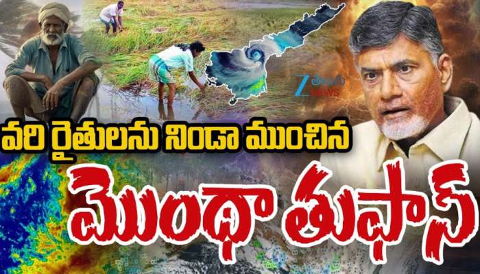 Month Cyclone Effect on Paddy: రైతులను నిండా ముంచిన మొంథా తుపాను.. 