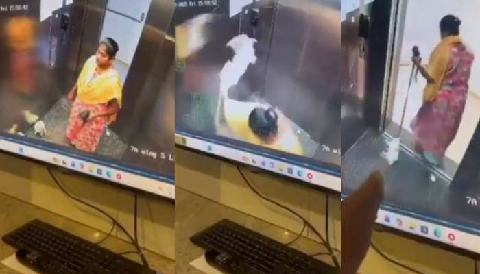 Maid Kills Pet Puppy Video: నువ్వసలు మనిషివేనా..?.. లిఫ్ట్‌లో కుక్కపిల్లను నెలకేసి కొట్టి చంపిన పనిమనిషి.. షాకింగ్ వీడియో..