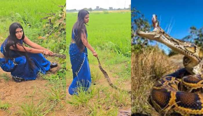 Video Viral: నువ్వు తోపు అక్కా.!. భారీ కొండ చిలువను ఉత్త చేతులతో బైటకు లాగుతున్న యువతి.. షాకింగ్ వీడియో..