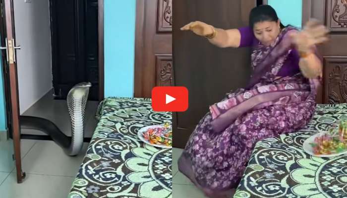 Cobra Video: డోర్ తీసుకొని బెడ్ రూమ్‌లోకి దూసుకొచ్చిన నాగుపాము.. పామును చూసి ఆంటీ పరుగో పరుగు.. వీడియో..
