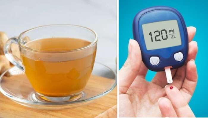 Diabetes Drink: షుగర్ పేషెంట్స్ మీకోసమే.. పవర్ ప్యాక్డ్ ఎనర్జీ డ్రింక్.. రోజూ తాగితే మధుమేహం మాయం..!