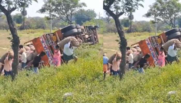 Onions Lorry Accident Video: మీ కక్కుర్తీ దొంగలు దొలా.. ఉల్లి లారీ బోల్తా..  సంచుల్ని తీసుకుని జనాలు పరార్.. వీడియో..