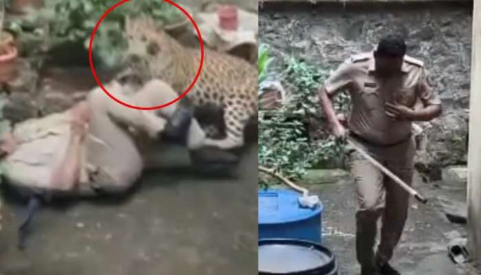 Leopard Attack Video: వామ్మో.. పోలీసు అధికారిపై చిరుతపులి దాడి..కిందపడేసి మరీ..  ఓళ్లు గగుర్పొడిచే వీడియో...