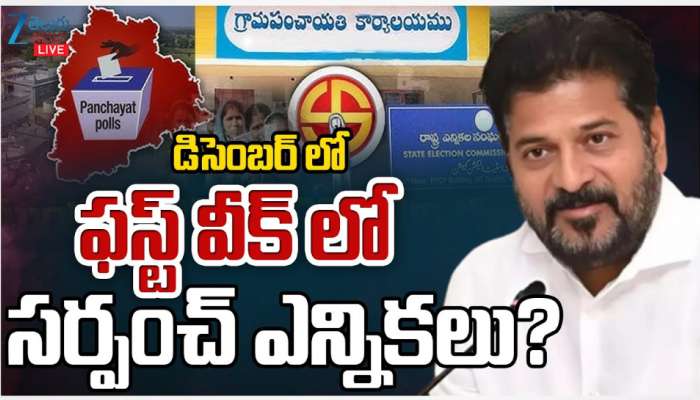 Telangana Sarpanch Elections: డిసెంబర్ ఫస్ట్ వీక్ లో సర్పంచ్ ఎన్నికలు.. ?