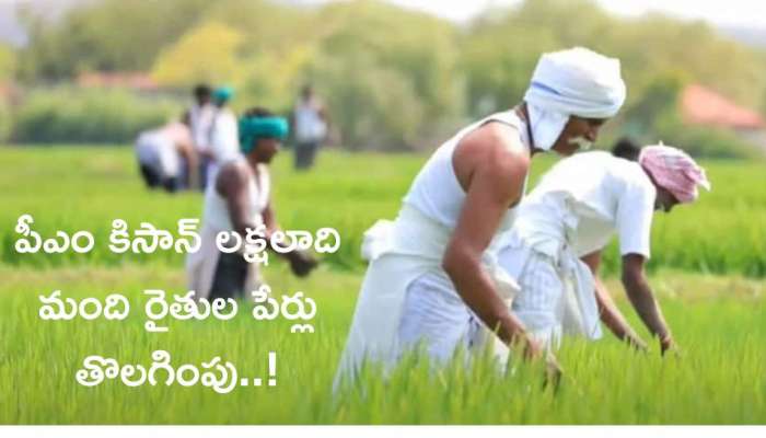 PM Kisan: రైతులకు బిగ్‌షాక్‌.. పీఎం కిసాన్‌ నుంచి లక్షలాది మంది పేర్లు తొలగింపు? ఇలా చెక్‌ చేసుకోండి..