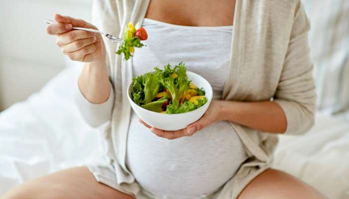 World Diabetes Day: గర్భిణీలు రక్తంలో షుగర్ నియంత్రించడం ఎలా? ఎలాంటి డైట్ తీసుకోవాలి? ఏవి తినకూడదు?