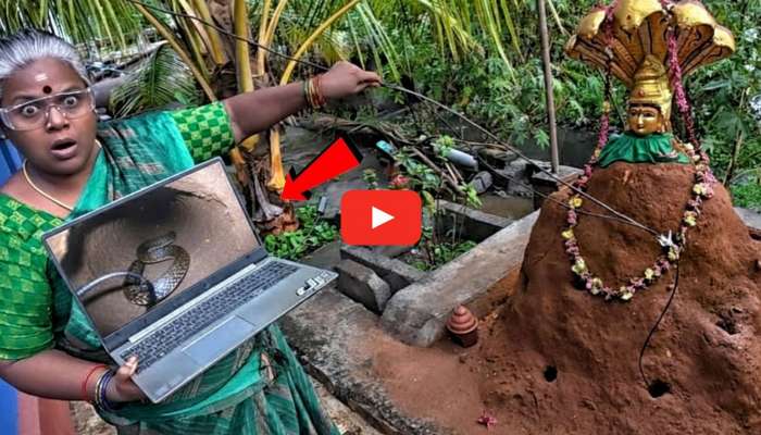 Snake Catching Laptop Camera Video: ఎండోస్కోపి కెమెరా పెట్టి.. నాగదేవత పుట్టలో పామును చూపించారు.. వీడియో ఇదే!
