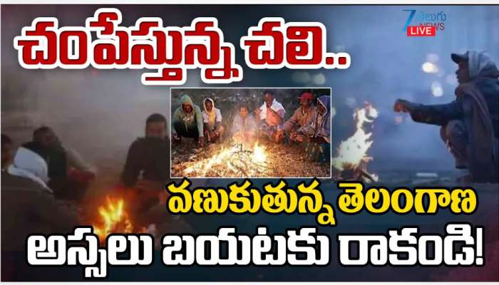 Cold Wave in Telangana: చంపేస్తోన్న చలి.. వణుకుతున్న తెలంగాణ..