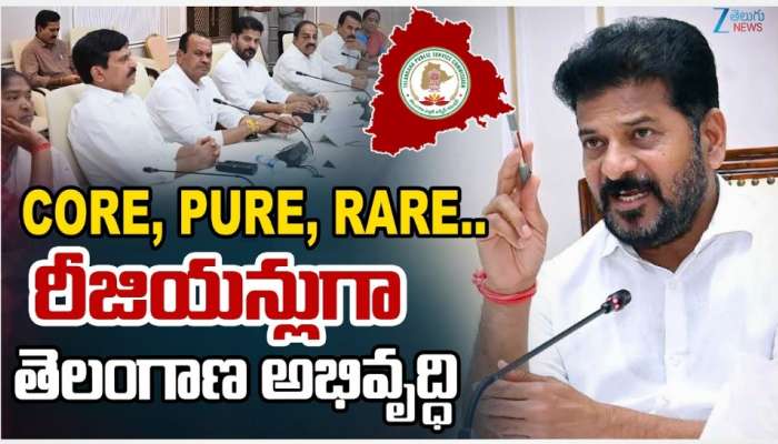 Telangana Govt: ప్రతిష్టాత్మకంగా గ్లోబల్‌ సమ్మిట్‌ నిర్వహిస్తాం: రేవంత్‌ రెడ్డి