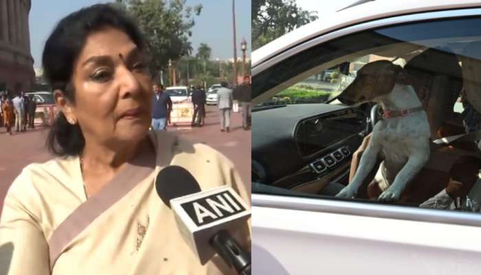 Renuka Chowdhary Video: పార్లమెంట్‌కు శునకంతో వచ్చిన ఎంపీ రేణుక చౌదరీ..  కరిచే వాళ్లు లోపలే ఉన్నారంటూ పంచ్‌లు.. వీడియో..
