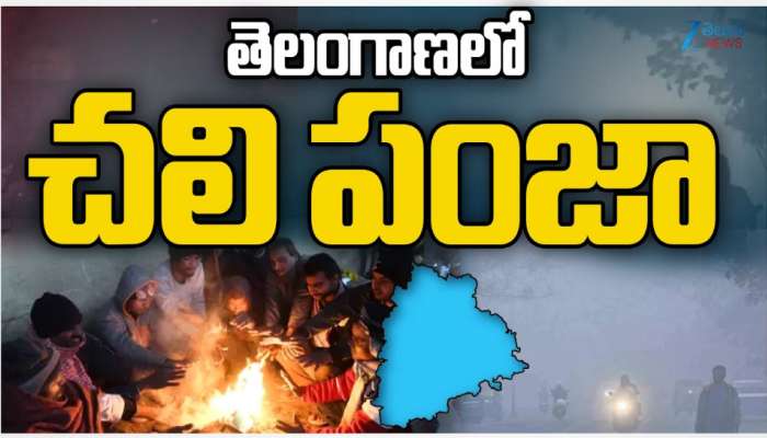 Telangana Cold Waves: తెలంగాణను వణికిస్తున్న చలి పులి.. ఒక్కసారికి విజృంభిస్తున్న కోల్డ్ వేవ్స్..