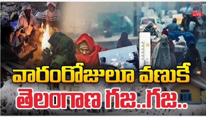 Telangana Cold Waves: మరో వారం రోజులు వణుకే.. చలికి తెలంగాణ గజ.. గజ..