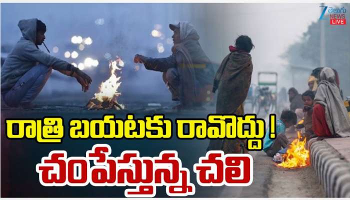 Telangana Cold Waves: తెలంగాణను వణికిస్తోన్న చలి పులి.. రాత్రి పూట బయటకు రావాలంటే వణుకే.. 
