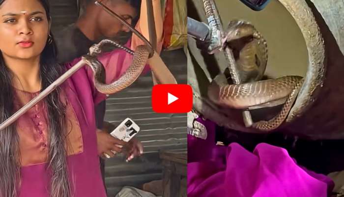 Snake Video: వామ్మో.. కుండలోని పామును బయటికి గుంజి మరి పట్టుకున్న యువతి.. వీడియో..