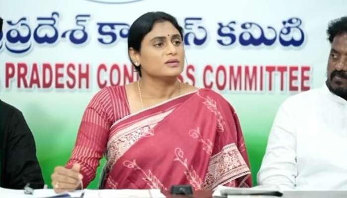 Chandrababu: విద్యుత్‌ ఛార్జీలపై చంద్రబాబు చేసేవన్నీ దొంగ బుద్ధులు: వైఎస్‌ షర్మిల ఆగ్రహం