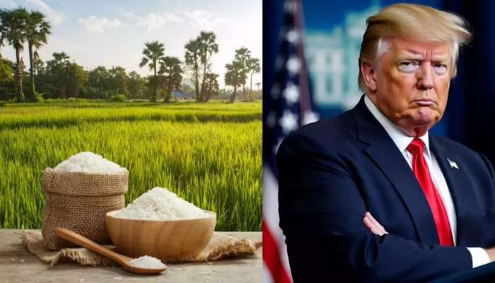 Basmati vs Texmati: భారత్‎తో పెట్టుకుంటే భవిష్యత్ లేకుండా పోతావ్ ట్రంప్.. టెక్స్‎మతి కంటే బాస్మతికే జై కొడుతున్న NRIలు.. సుంకాల పేరుతో బెదిరిస్తే భయపడతామా..?