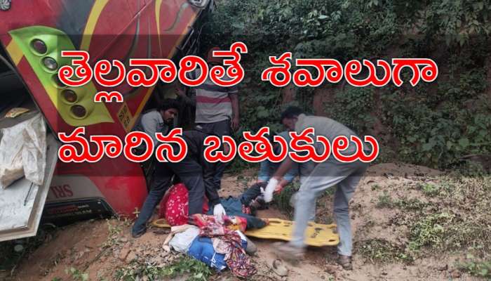 Bus Accident Live Updates: అల్లూరి జిల్లాలో లోయలో పడిన బస్సు.. 9 మంది మృతి?