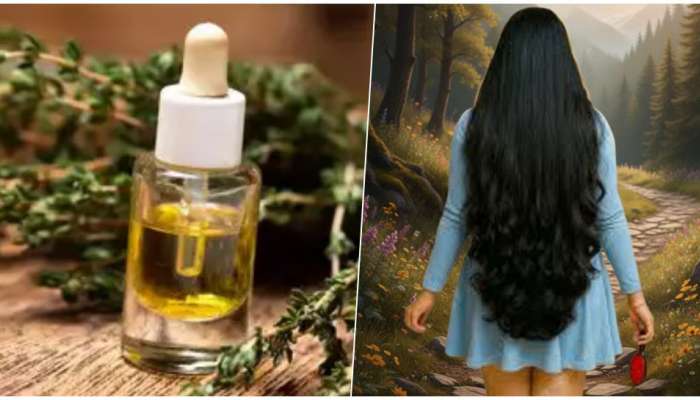 Bhringraj Hair Oil: ఈ నూనె జుట్టుకి రాసుకుంటే ఒక్క వెంట్రుక కూడా రాలదు..7 రోజుల్లో అంతా సెట్..ఇంతకీ అదేంటో తెలుసా?