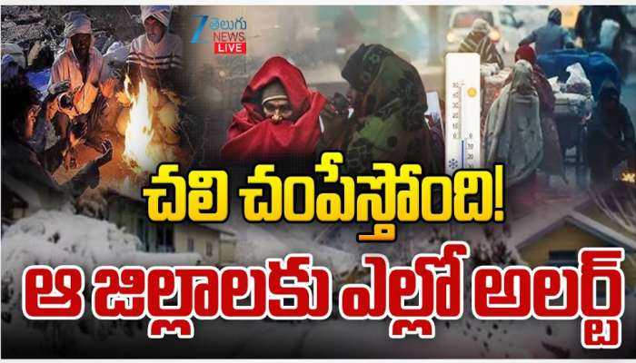 Telangana Cold Waves: తెలంగాణ వాసులను చంపేస్తోన్న చలి.. ఆ జిల్లాలకు ఎల్లో అలర్ట్..!