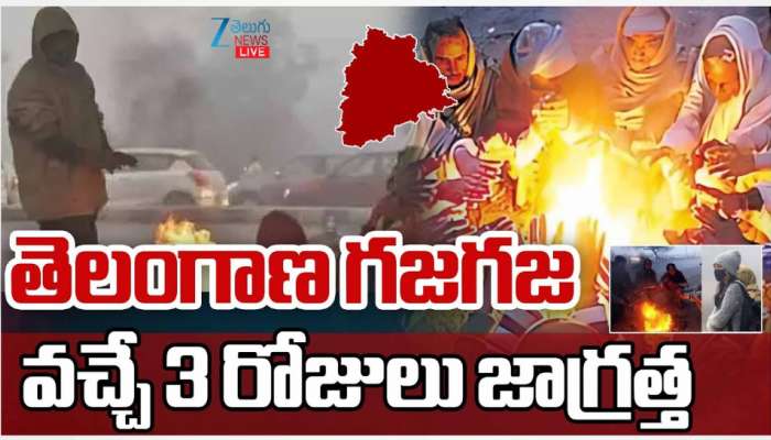 Telangana Cold Waves: తెలంగాణలో గజ గజ.. వచ్చే 3 రోజులు జాగ్రత్త..