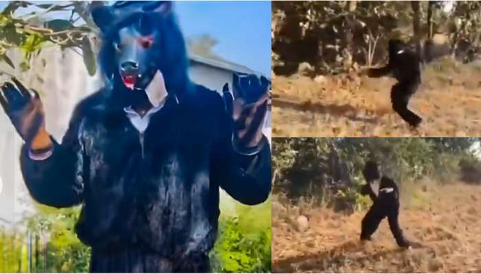 Viral Video: ఇదెక్కడి విడ్డూరం.. ఎన్నికల్లో గెల్చాక ఎలుగు బంటి అవతార మెత్తిన కొత్త సర్పంచ్..   వీడియో వైరల్..