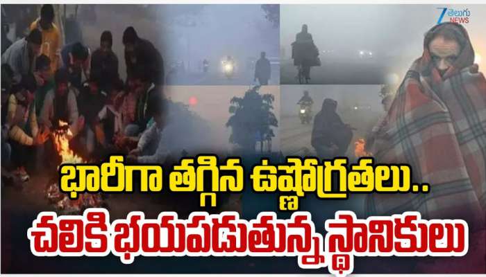 Telangana Cold Waves: భారీగా తగ్గిన ఉష్ణోగ్రతలు.. చలికి వణికిపోతున్న ప్రజలు..