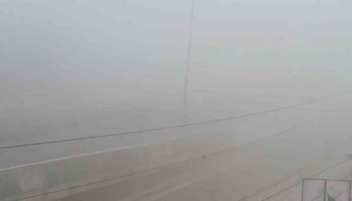  Telangana Fog Troubles: తెలంగాణకు కమ్మేసిన పొగమంచు.. పలు విమానాలు రద్దు.. 