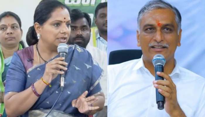 Kalvakuntla Kavitha: ఆ గుంట నక్క ఓ గ్రూప్ తయారు చేస్తుండు.. హరీష్ రావుపై కవిత సంచలన వ్యాఖ్యలు..