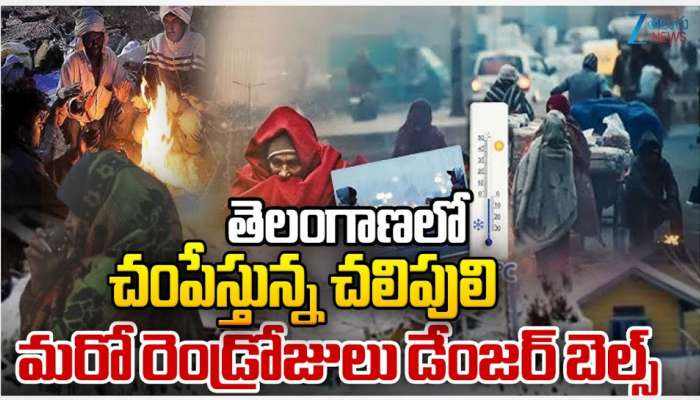 Telangana Cold Waves: తెలంగాణలో చంపేస్తోన్న చలి.. మరో రెండు రోజులు డేంజర్ బెల్స్.. 