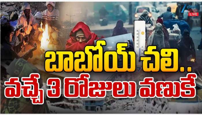 Telangana Cold Waves: తెలంగాణకు చంపేస్తోన్న చలి.. వచ్చే 3 రోజులు వణుకుడే..
