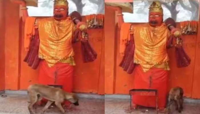Video Viral: సంక్రాంతి వేళ అద్బుతం.. 48 గంటలుగా హనుమాన్ విగ్రహం చుట్టు ప్రదక్షిణలు చేస్తున్న శునకం.. వీడియో..