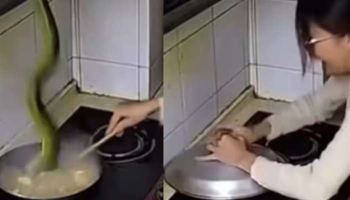 Snake Video: వామ్మో వంట చేయమంటే కాటేయడానికి వచ్చిన పామునే వండేసిందే..! ఒళ్లు గగుర్పొడిచే వీడియో..!