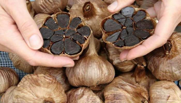 Black Garlic: తెల్ల వెల్లుల్లి కంటే 'నల్ల వెల్లుల్లి' చాలా పవర్‌ఫుల్.. ఎందుకో తెలుసా..?