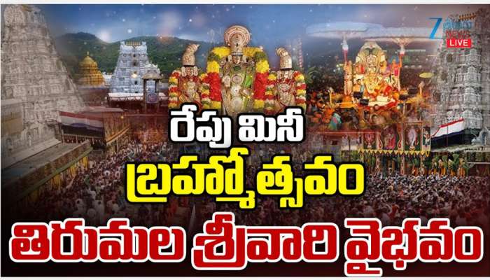 Tirumala Ratha Saptami: రథ సప్తమి సందర్భంగా తిరుమలలో మినీ బ్రహ్మోత్సవం..