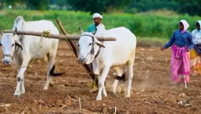 Rythu Bharosa: తెలంగాణలోని రైతులకు శుభవార్త.. రైతు భరోసాపై సర్కార్ కీలక అప్డేట్.. డబ్బులు పడేది ఎప్పుడంటే..!