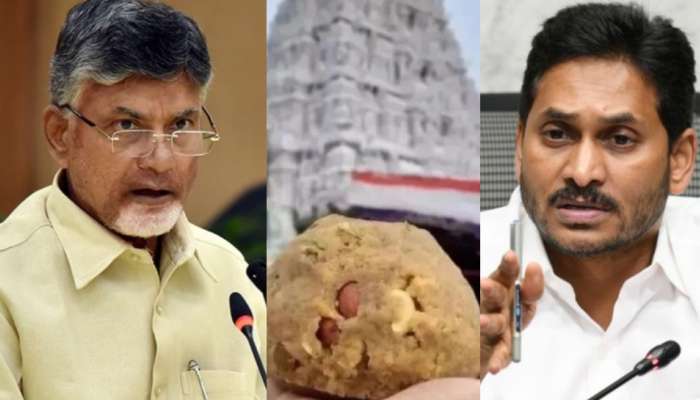 Chandrababu naidu: శ్రీవారిని అడ్డం పెట్టుకుని రాజకీయాలా..?.. వైసీపీపై నిప్పులు చెరిగిన సీఎం చంద్రబాబు.. ఏమన్నారంటే..?