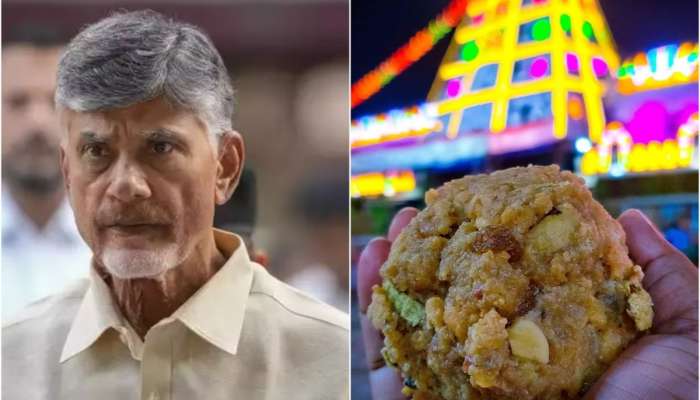 Tirupati Laddu Case: శ్రీవారితో పెట్టుకుంటే శిక్ష తప్పదు..తిరుమల అపచారంపై సీఎం చంద్రబాబు ఘాటు వ్యాఖ్యలు!