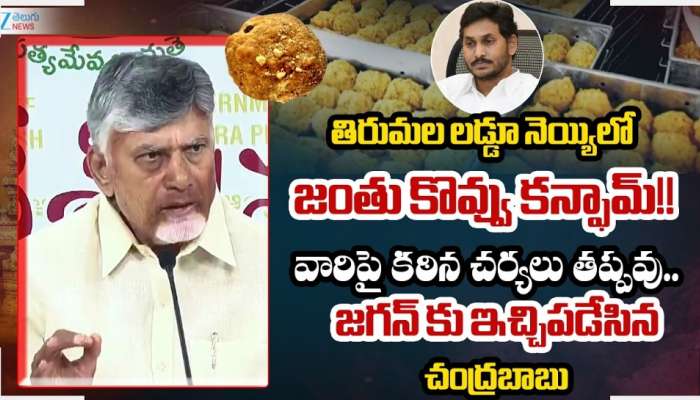 Chandrababu: తిరుమల పవిత్రతని తిరిగి నిలబెట్టేలా పని చేస్తాం: సీఎం చంద్రబాబు