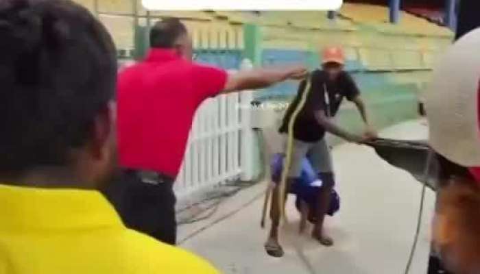 Snake found pakistan dugout india vs pakistan T20 world cup 2026 